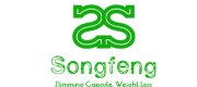 Guangzhou Songfeng Trade Co., Ltd.