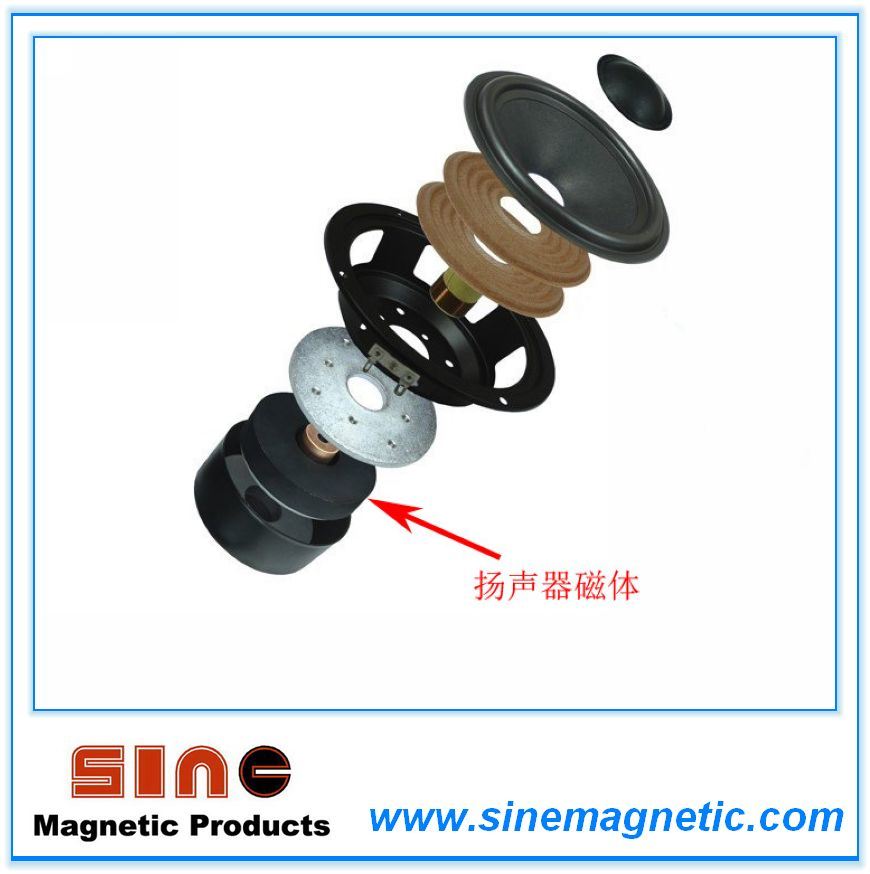 Ferrite Ring Magnet for Loudspeaker