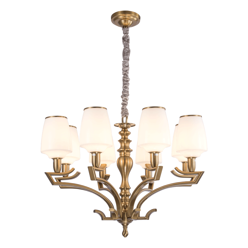 New Design Iron Chandelier with Glass Shade Lighting Fitting for Home (SL2276-8)