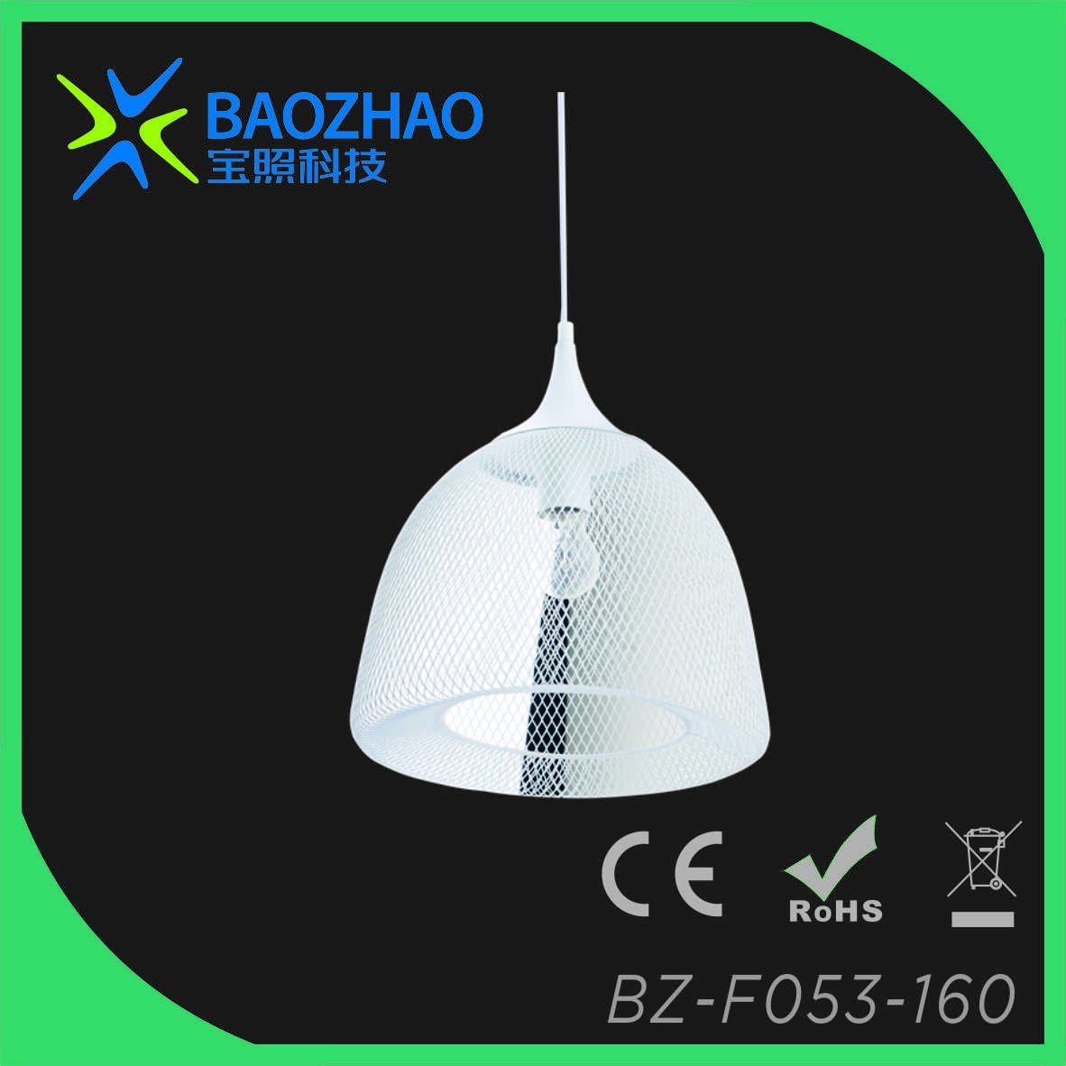 Max 60W Pendant Lamp with Iron Net