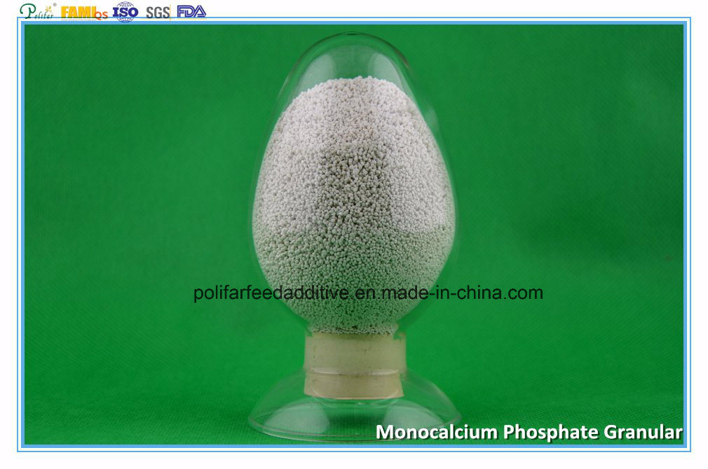 Mcp Monocalcium Phosphate Nutrition for Fish
