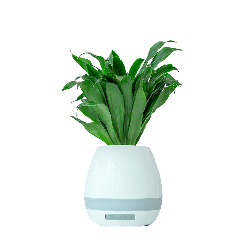 Creative Gift Bluetooth Speaker Aroma Diffuser with 100% Plant-Extracted Aroma Crystal and Negative Ions.