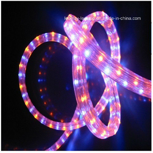 Professional 3 Wire Flat Vertical LED Rope Light CE RoHS