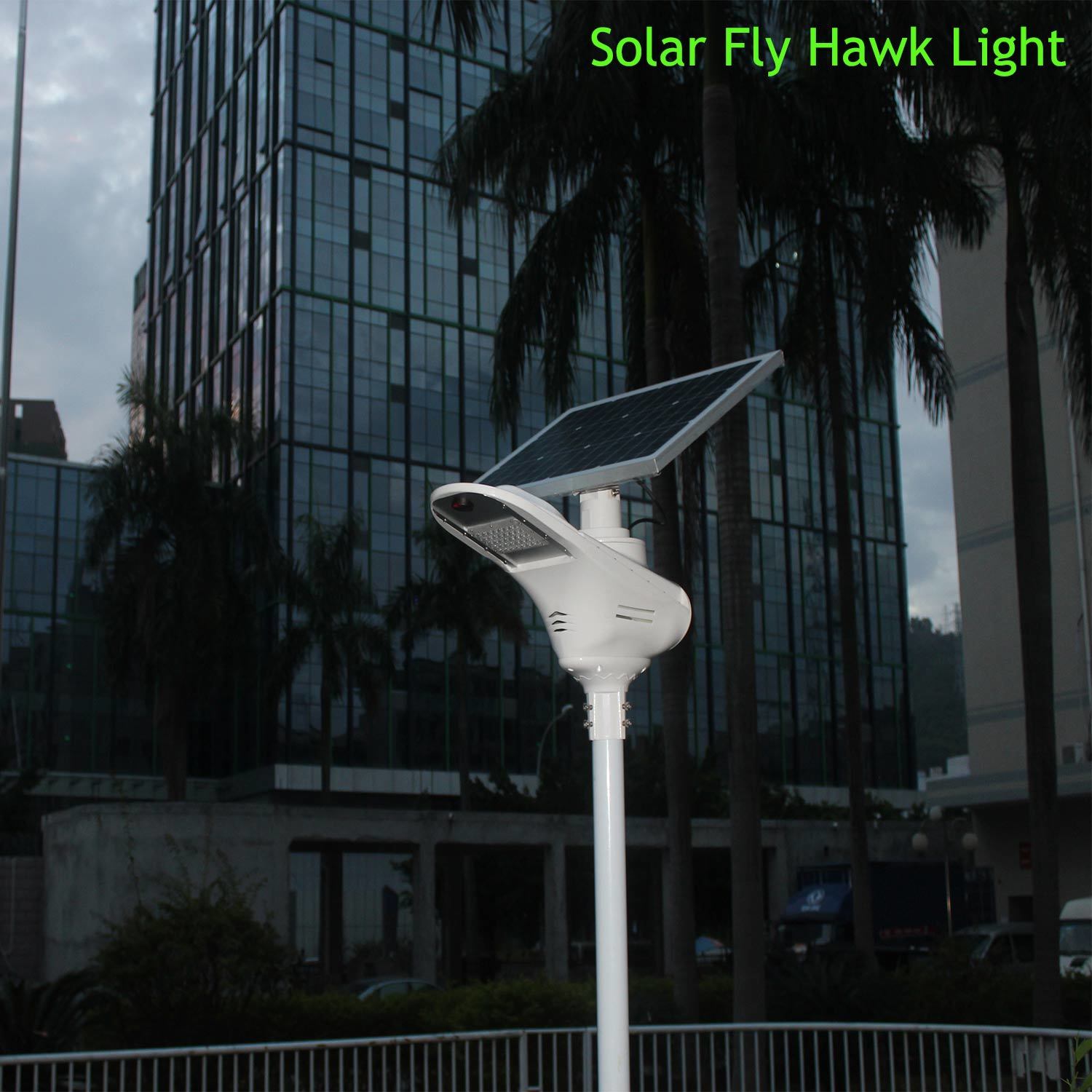 High Efficiency Solar Street Lamp Garden Light with High Capacity Lithium Battery