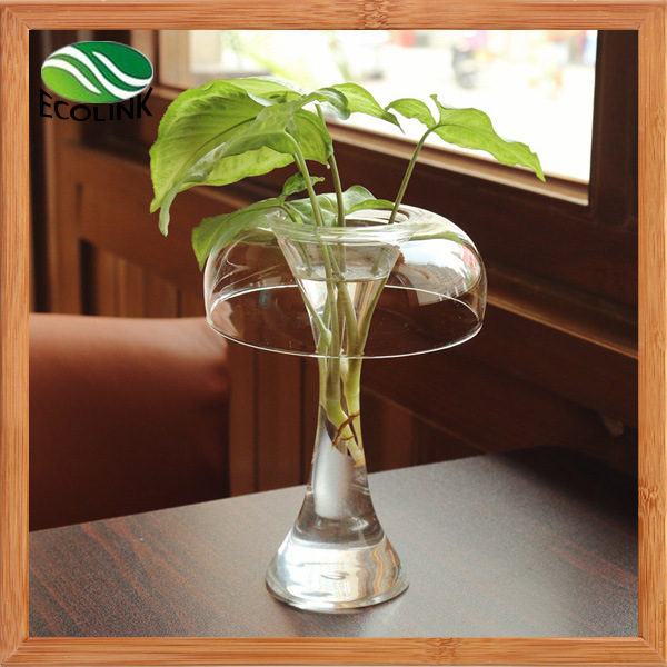 Creative Transparent Desktop Hydroponic Flower Vase