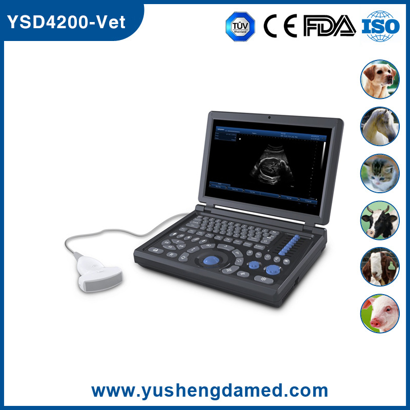 Ysd4200-Vet Ce Veterinary Ultrasonic Diagnosis Medical Equipment Ultrasound PC Based
