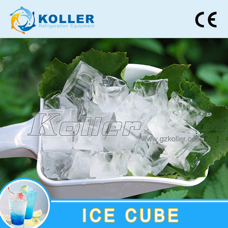 Koller CV1000 Cube Ice Machine 1 Ton for Hotel Bar