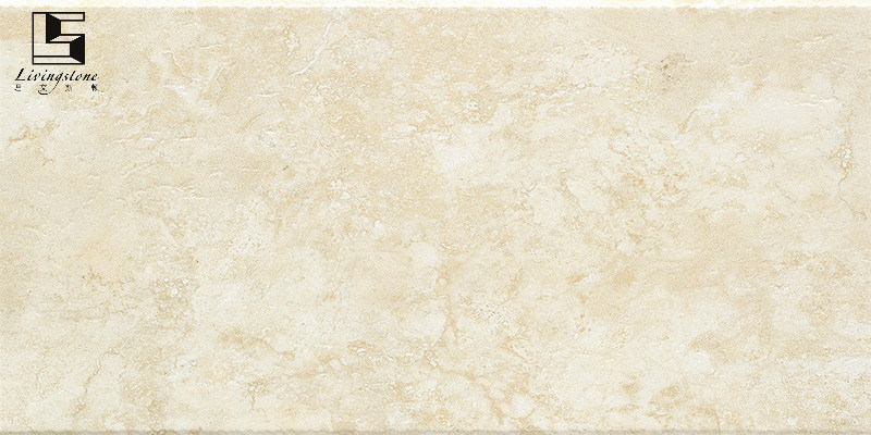 300*600 Ceramic Wall Tile with Decoration
