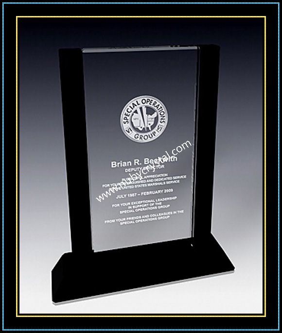 Crystal Vertical Plaque Award for VIP Customer 9