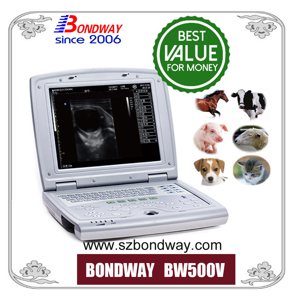 Ultrasound Scan Machine for Animals, Veterinary, Vet Ultrasound Scaning, Diagnostic Ultrasound Imaging Machine, Pregnancy Scan, Reproduction Ultrasound,