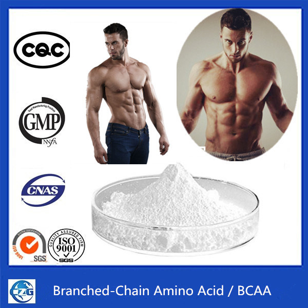 99% Purity Branched Chain Amino Acids Bcaa