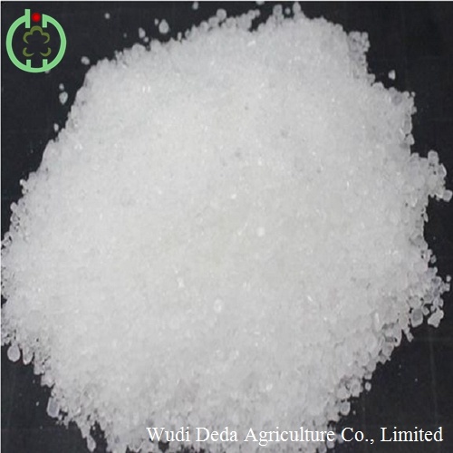 DCP Feed Additives for Sale Poultry Food