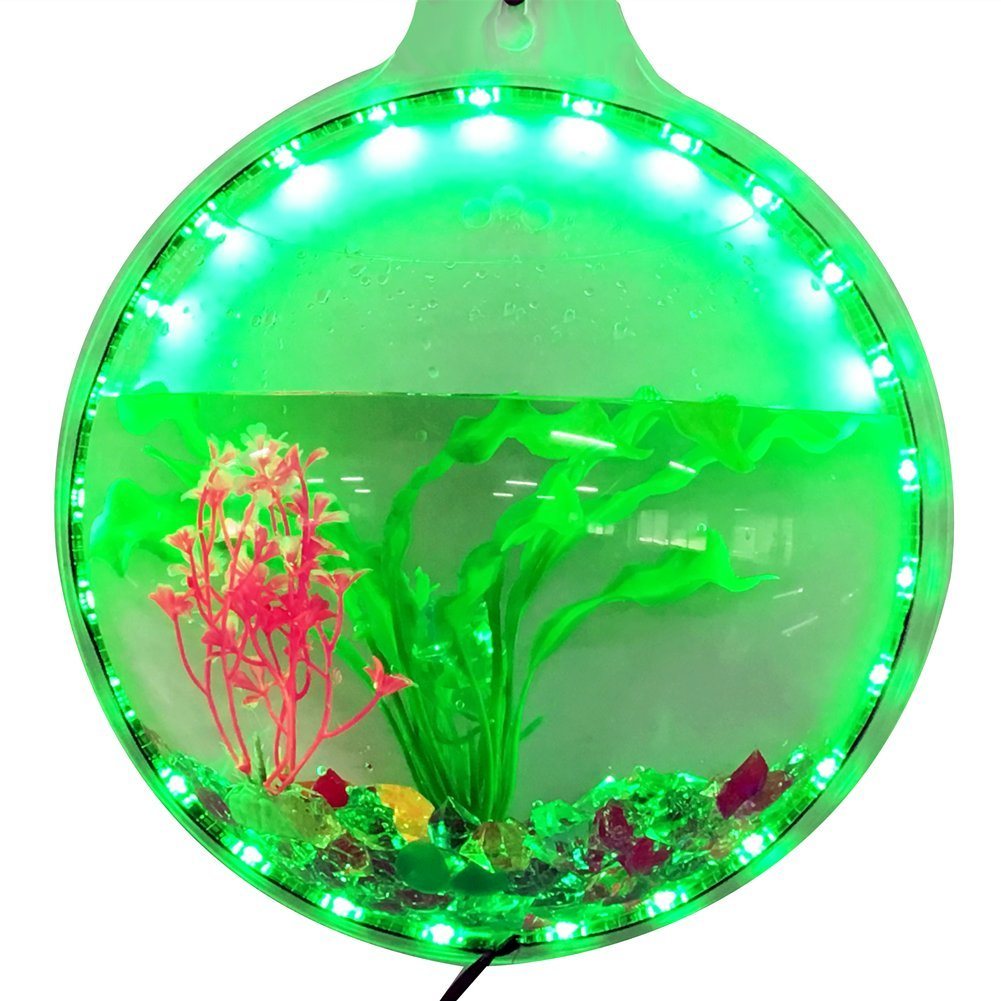 Acrylic Fish Bubble Wall Mounted Fish Bowl