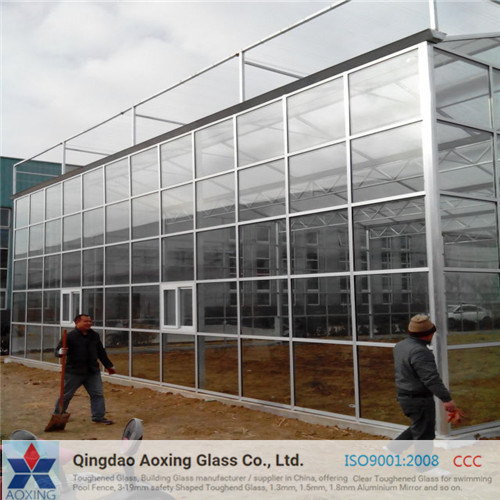 Ultra/Super Clear Glass for Warehouse/Solar Glass