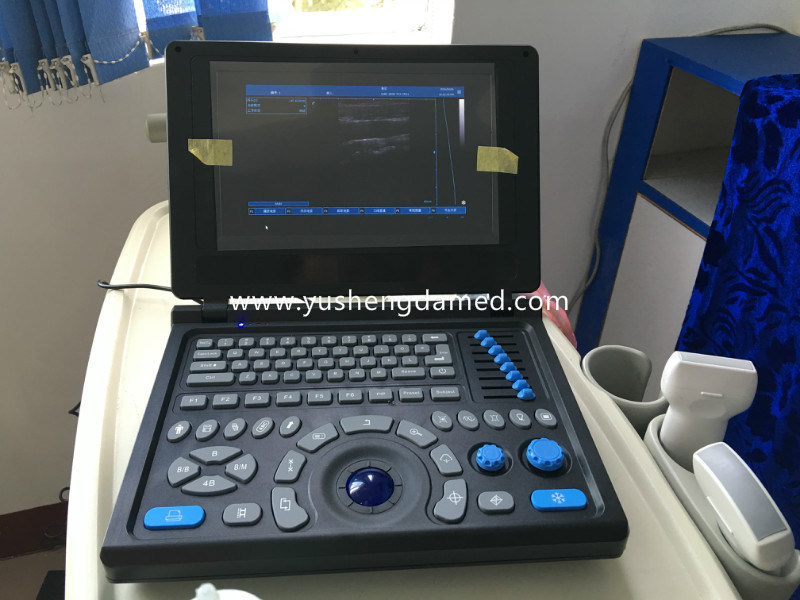 Ysd4200-Vet Ce ISO Medical Equipment Diagnostic Veterinary Ultrasound Scanner