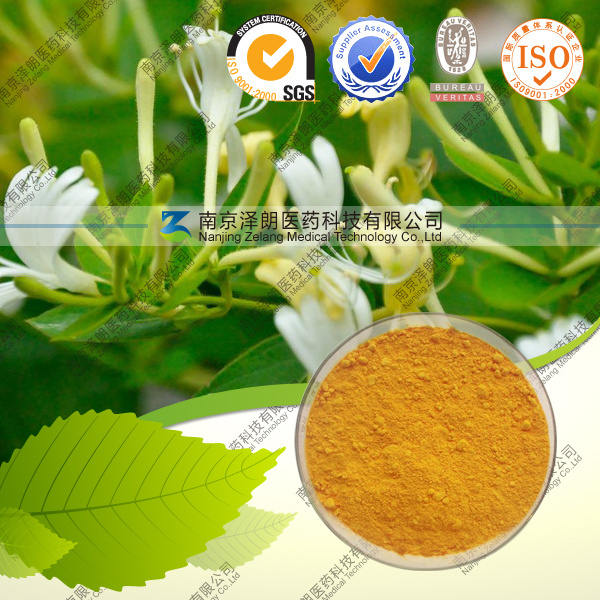Natural Chlorogenic Acid 50% Honeysuchle Flowers Extract