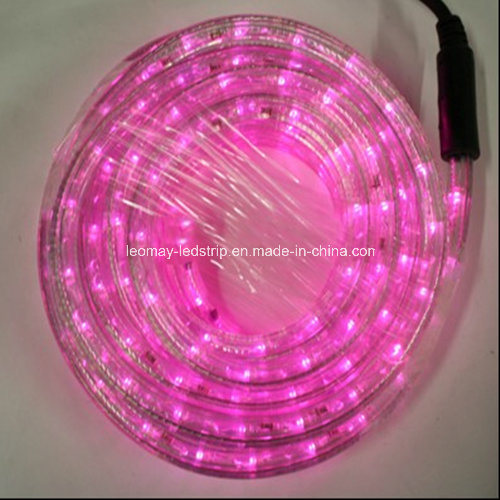 Eco-Friendly 2 Wire Pink Horizontal LED Rope Light