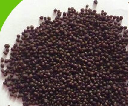 Diammonium Phosphate DAP Agriculture Fertilizer 18-46-0 Prices
