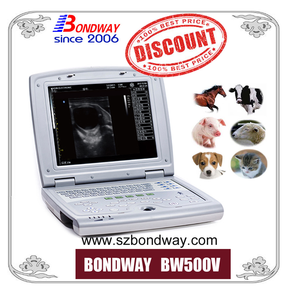 Ultrasonic Transducer Price, Used Aloka Ultrasound, Veterinary Color Doppler Ultrasound, Vet Ultrasound for Horse, Cow, Cattle, Pig, Veterinary Ultrasound