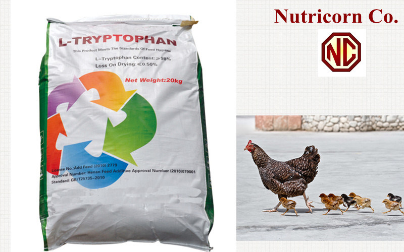 Nutricorn Amino Acids Feed Grade L-Tryptophan