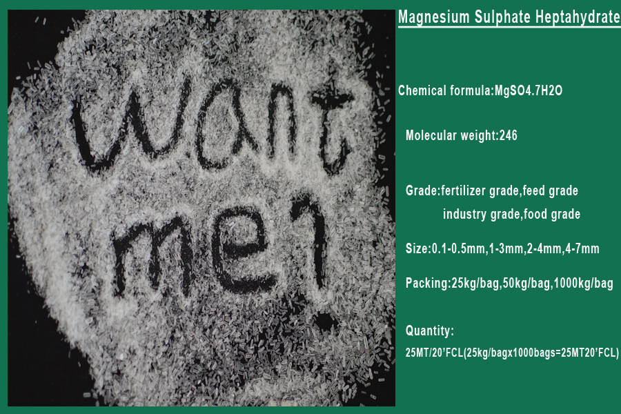Hot Sale Magnesium Sulfate in China