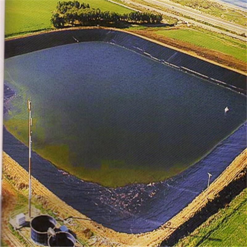 Fish Farm Pond Liner Sheet ASTM HDPE Geomembrane