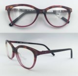 2016 New Crystal Red Acetate Optical Frames for Lady