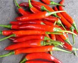 Capsicum Extract Natural Capsaicin on Sell