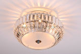 Indoor Hotel Bedroom G9 Crystal Ceiling Light Acrylic Ceiling Lamp