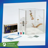 Customized Clear Acrylic Boxes for Pets Animals