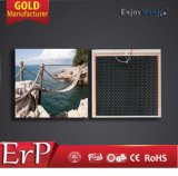 ERP Lot20 New Ce RoHS Infrared Panel Manufacturer Heating Film