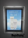 LED Frameless Wall Mounted Display