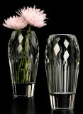 10in Crystal Vase for Home Decoration (#MA-7023)