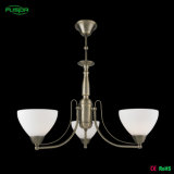 Modern Home Lighting Chandelier Light/Pendant Lighting