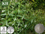 Andrographolide 5%-99% Andrographis Paniculata Extract