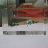 High Glossy Transparency Insect Polyester Resin for Decoration