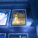 LED Cosmetics Store Board Crystal Light Box Advertising Equipment (CSH01-A2P-02)