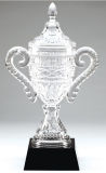 Genuine Glass Engraving Faceted Crystal Cup Award Trophy
