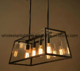 Traditional Metal Chandelier with Glass Shade (WHG-653)