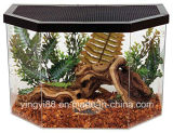 High Quality Acrylic Terrarium Reptile Box with SGS Certificates
