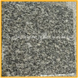 Cheap China Imperial Grey Granite for Flooring or Monument