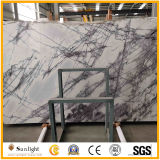 Imported White Marble Wall Tile, Italy White Heaven Bird Marble Slabs