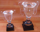 Small Crystal Trophy Clear Handles Black Base