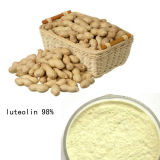 100% Natural High Quality Luteolin 98%