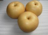 Top Quality Fengshui Pear
