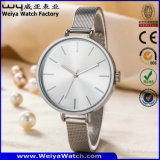 Custom Logo Woman Quartz Watch Fashion Wrist Watches for Ladies (WY-17006C)