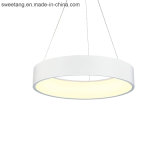 Indoor Modern LED Chandelier Pendant Lamp for Decoration