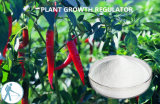 Plant Extract Regulator Pgr Kintin