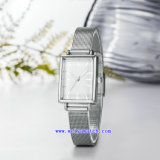 Hot Selling Watch Business Luxury Wrist Watches (WY-17034B)