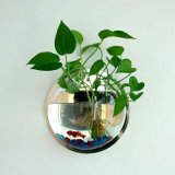 Mini Wall Mounted Round Acrylic Fish Bowl